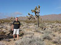 mojave (2) (Copier).JPG